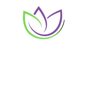 Cópia de logos leve copia